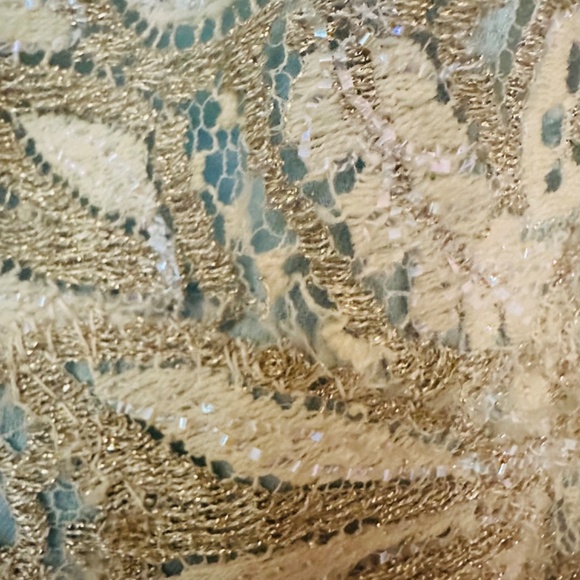 Vintage Lace One of a Kind Gown from the 1950's with Matching jacket - Picture 14 of 14